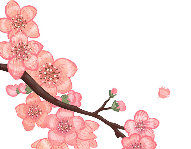 树枝花枝粉色日本樱花花朵花瓣花卉春天PNG元素