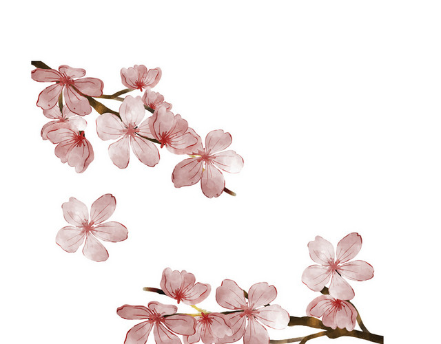 树枝花枝春天踏青日本樱花花朵花瓣花卉树叶树枝PNG元素