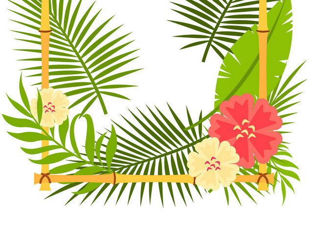 棕榈叶热带植物树叶边框花素材