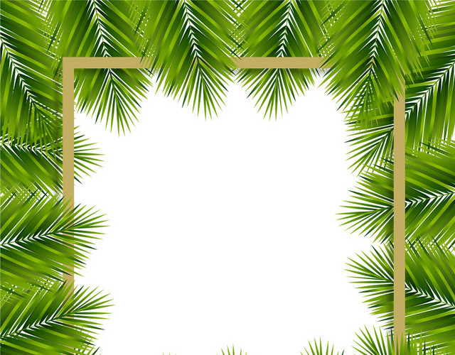 棕榈叶热带植物树叶边框素材