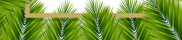 棕榈叶热带植物树叶边框素材