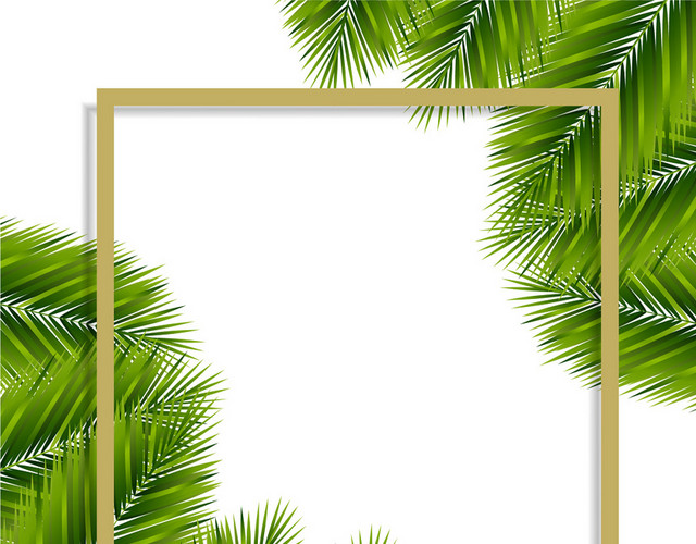 棕榈叶热带植物树叶边框素材
