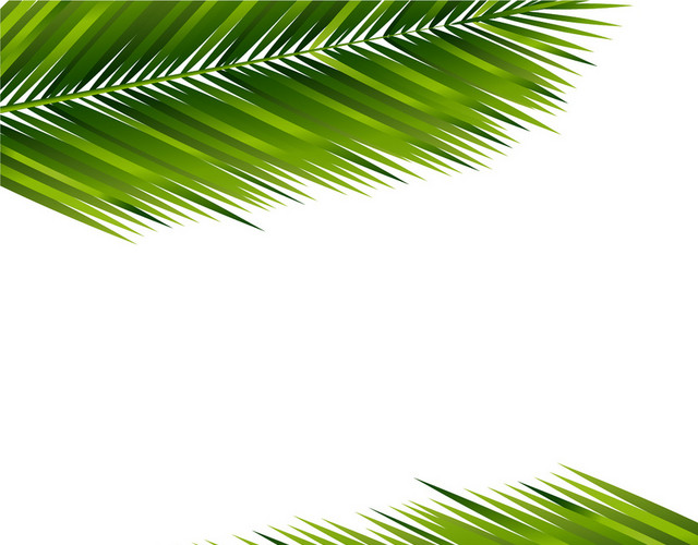 棕榈叶热带植物树叶素材
