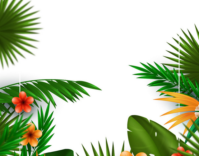棕榈叶热带植物树叶花素材