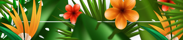棕榈叶热带植物树叶花素材