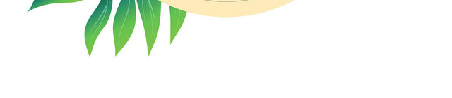 棕榈叶热带植物树叶素材