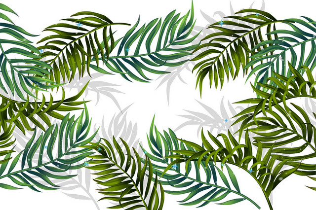棕榈叶热带植物树叶素材