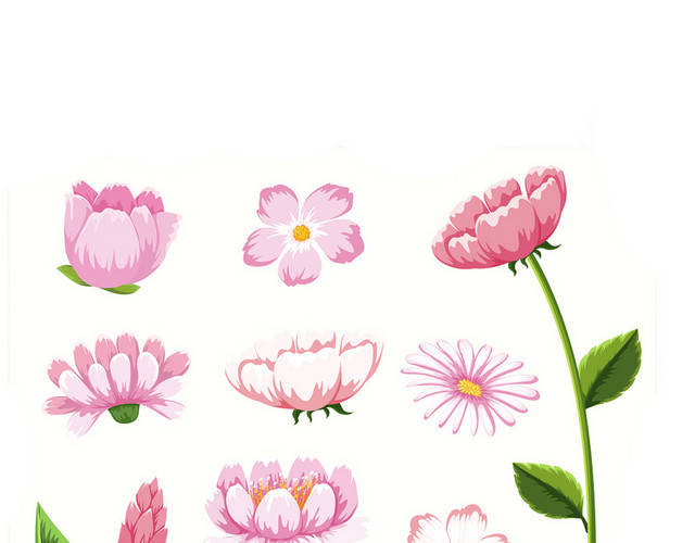 粉色康乃馨花束花朵花瓣素材