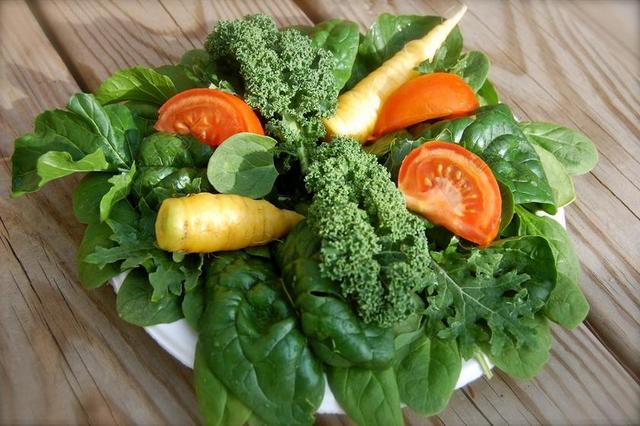 沙拉 格林一家 健康 食品 饮食 生菜 菠菜 素食主义者