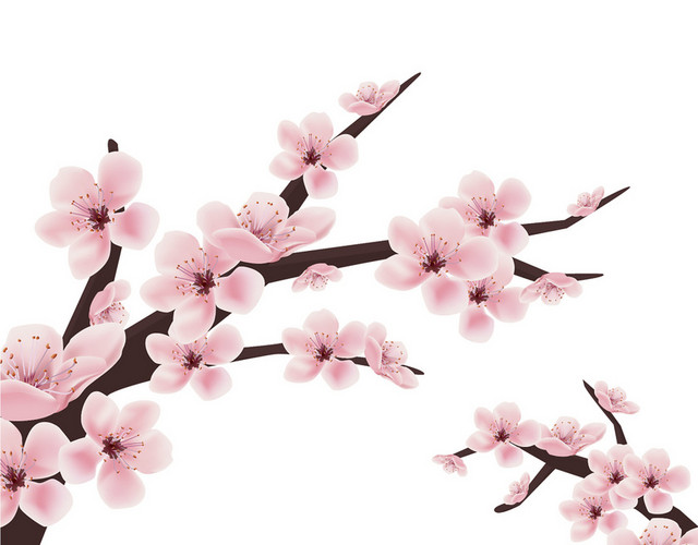树枝花枝日本樱花花朵花瓣花卉树叶树枝PNG元素