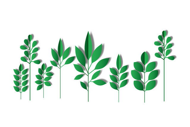 卡通植物树叶素材