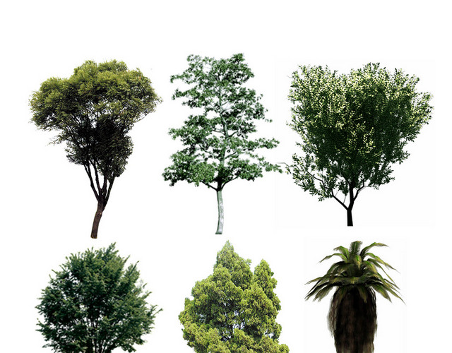 植物平面平面植物植物景观树木灌木