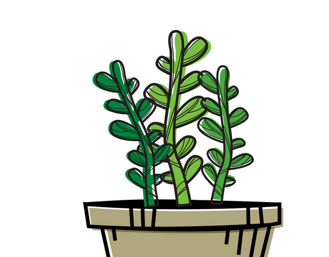 热带植物景观植物多肉植物盆栽盆景矢量素材