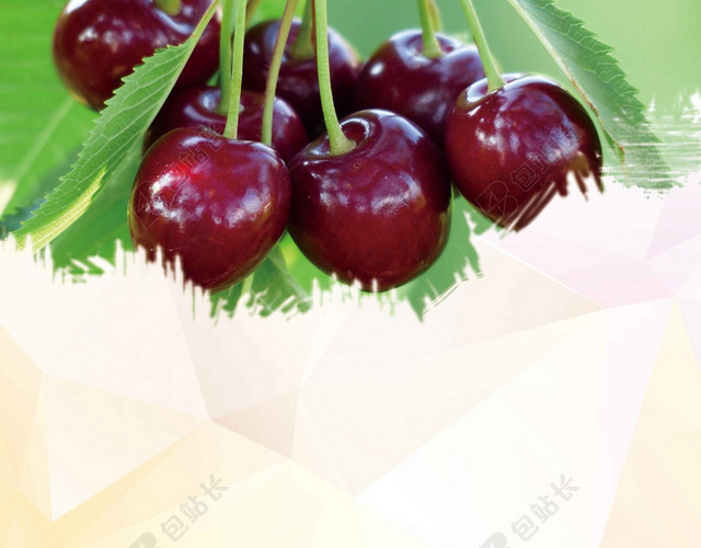 绿白渐变简约清新中国风樱桃车厘子水果宣传海报背景