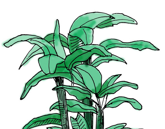 手绘树植物盆栽盆景矢量素材