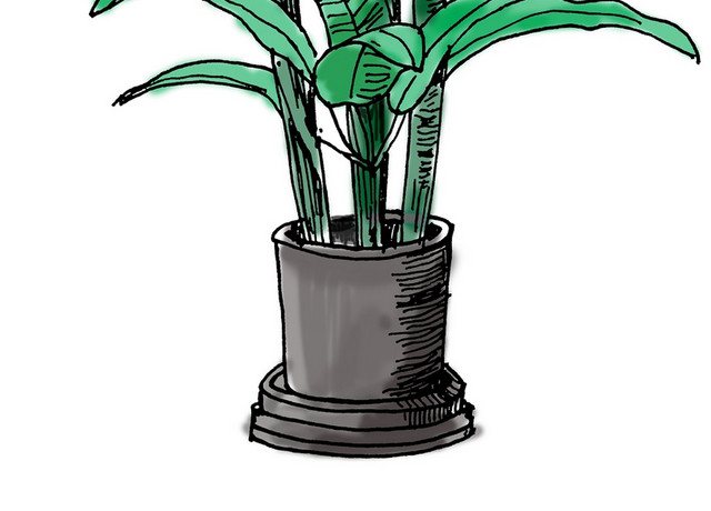 手绘树植物盆栽盆景矢量素材
