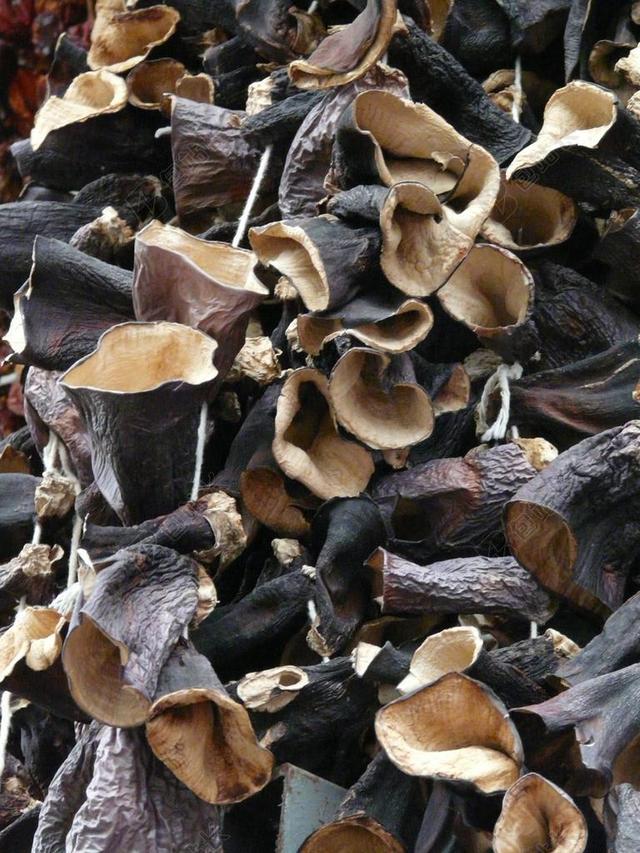 蘑菇 干 犹大耳朵 干的蘑菇 木错 中国莫雷尔 中国蘑菇 亚洲