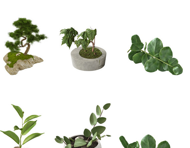 松树植物盆栽盆景矢量素材