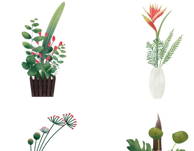 植物盆栽盆景矢量素材