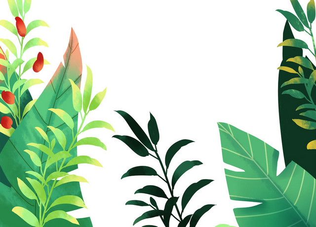 大自然植物植株清新插画素材