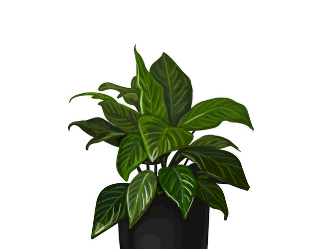 园林景观灌木植物卡通绿色植物盆栽