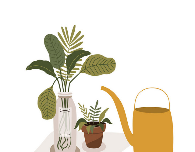 卡通植物绿植