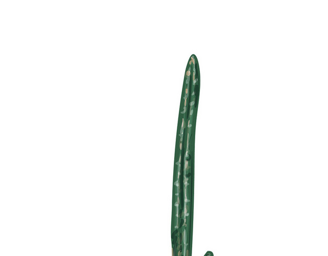 卡通绿植盆栽仙人掌