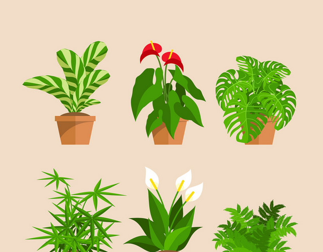 卡通绿植盆栽