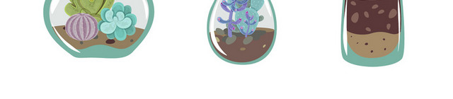 创意绿植盆景