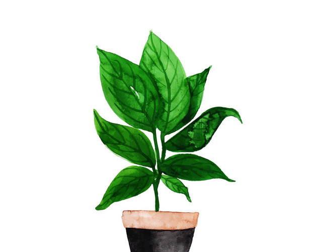 园林景观灌木植物卡通绿植盆栽