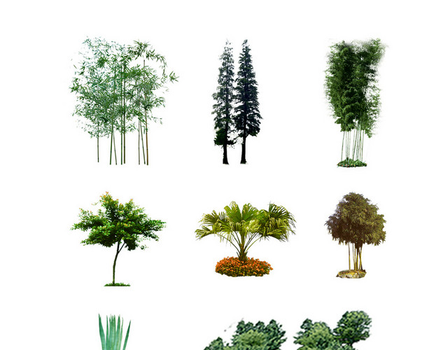 园林景观灌木植物树木景观园林小清新
