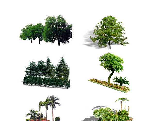 灌木景观园林景观灌木植物树木景观园林