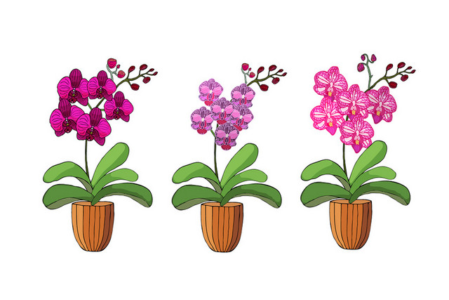 卡通绿植盆栽花朵