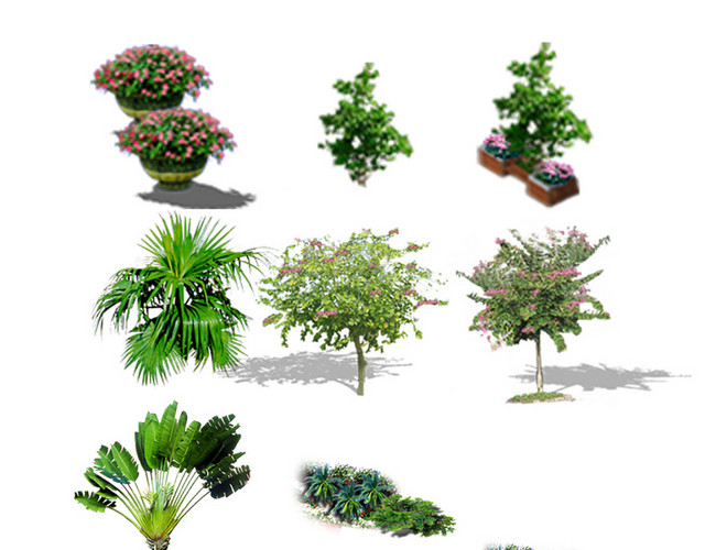 园林景观灌木树木景观园林