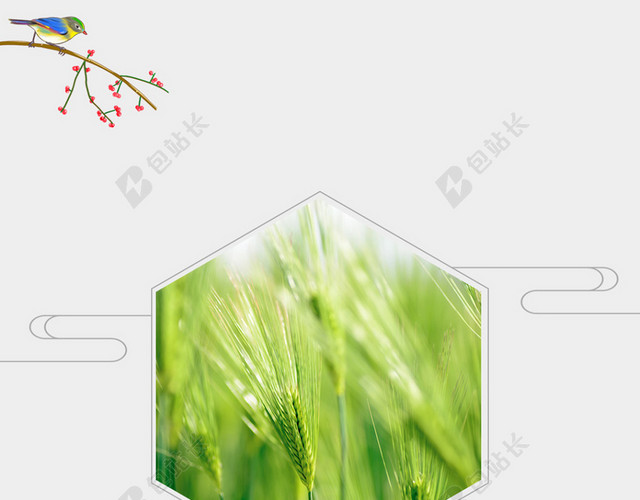 水墨淡雅风夏季二十四节气小满背景素材