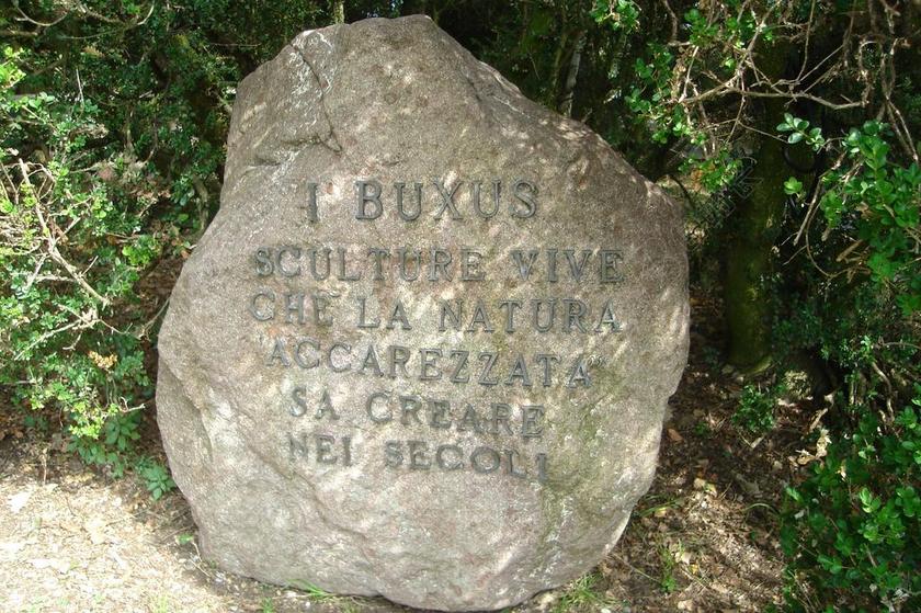 石头 写 公园 碑