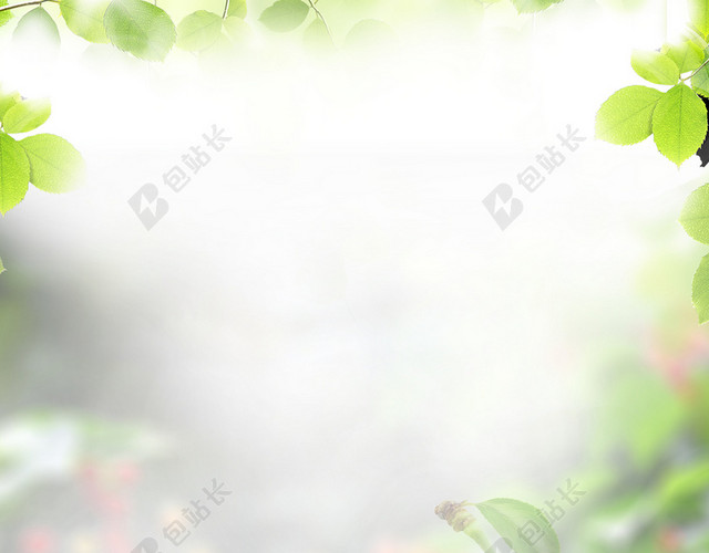 樱桃绿叶描边背景素材