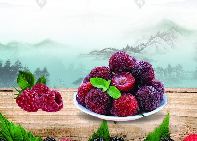 杨梅新鲜水果背景素材