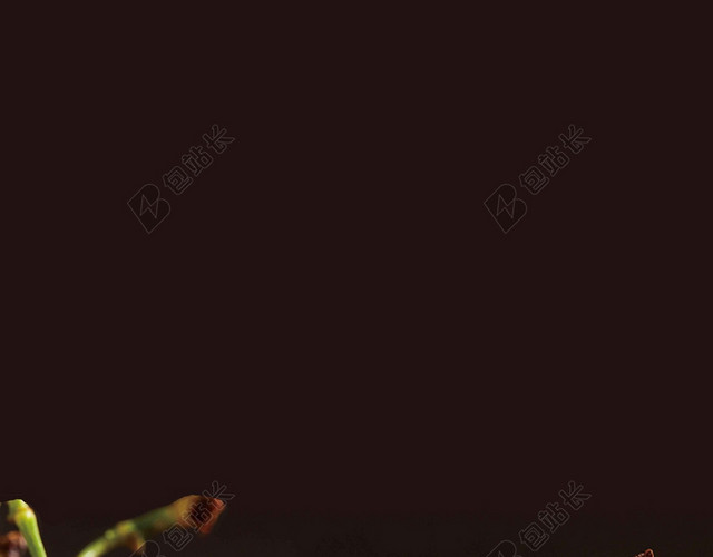 红黑圆形手绘绿叶清新樱桃车厘子水果海报背景