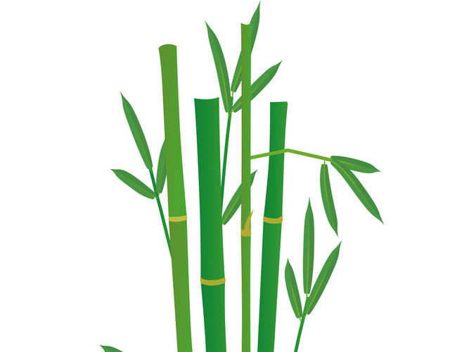 端午节节日竹叶素材