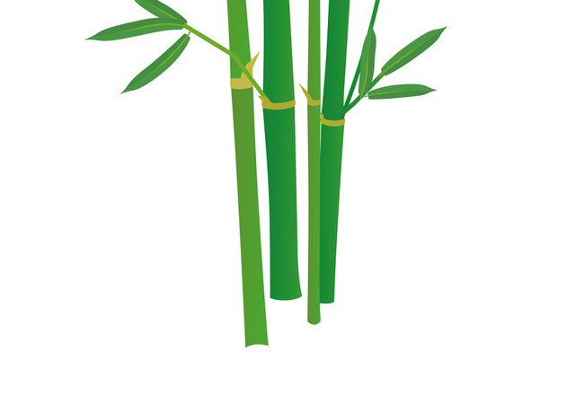 端午节节日竹叶素材