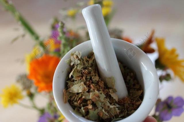 自然花卉药背景图片