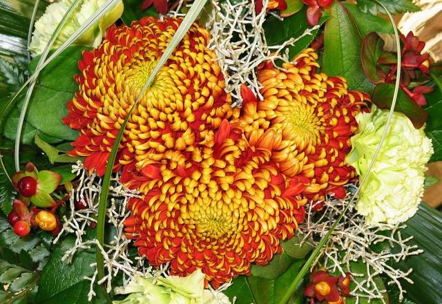 花束 苗圃 菊花 秋天的花束 性质 花园 FLORISTRY