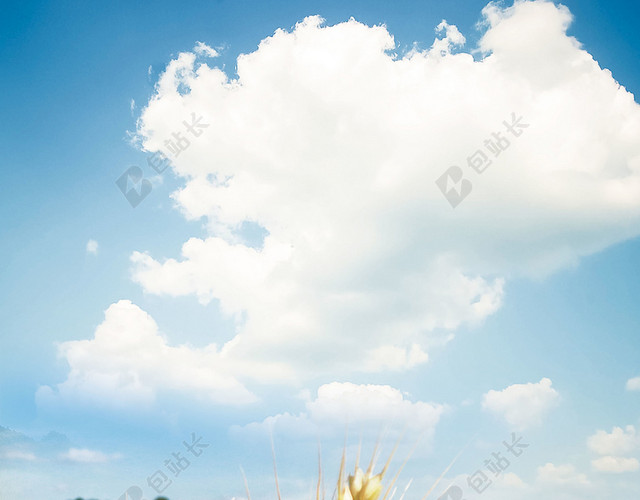 夏天简约夏季啤酒促销海报背景素材