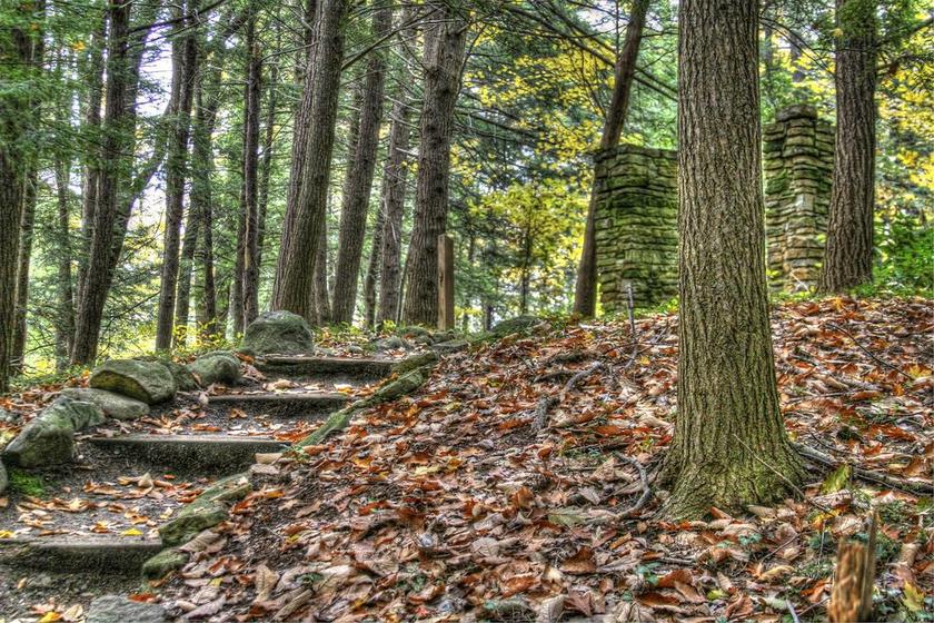 国家公园 徒步旅行 步道 秋天 颜色 自然 公园 景区