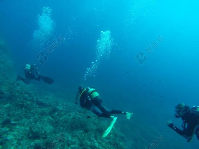 潜水员 潜水 海 水肺潜水 会议 瓶 马林 潜艇 水 蓝色