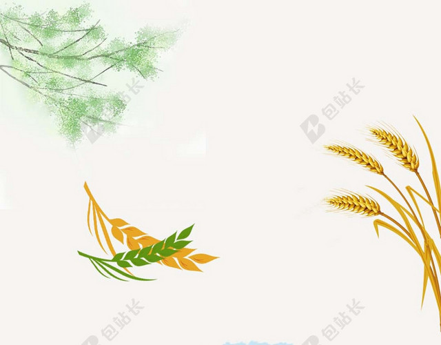 小满节气手绘浅色海报背景素材