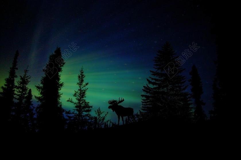 刷牙简约北极光背景图片