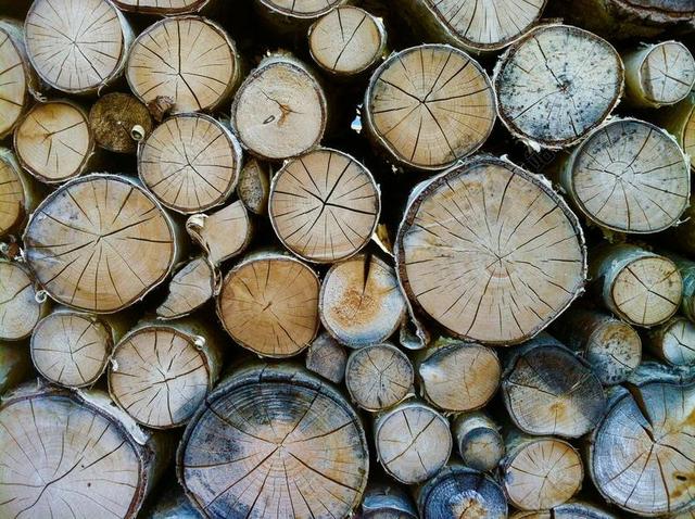 木 树干 年轮 森林 性质 HOLZSTAPEL 柴 背景