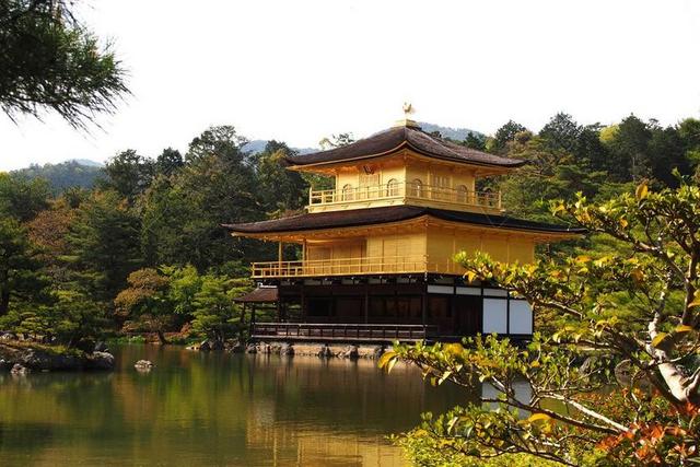 金寺 京都 黄金 寺 日本 宗教 花园 佛教 遗产 崇拜